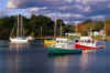 Fishing boats Nova Scotia.jpg (8202 bytes)